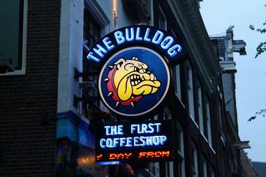 The Bulldog