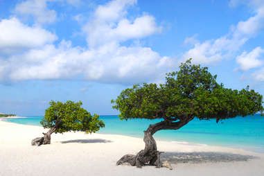 Eagle Beach, Aruba