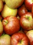 apples