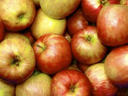 An Apple a Day: Calories in Apples, Nutrition Facts & Different