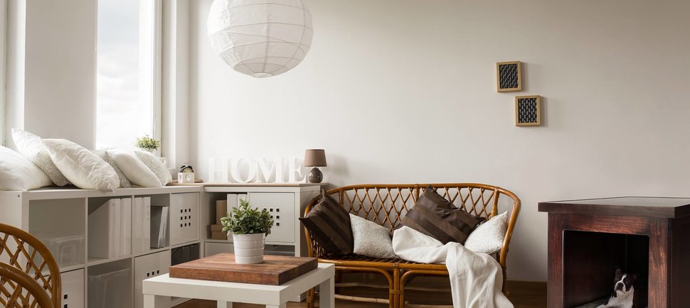 The Miami Small Businesses We Should All Be Supporting in 2017