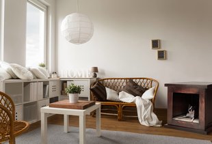 The Miami Small Businesses We Should All Be Supporting in 2017