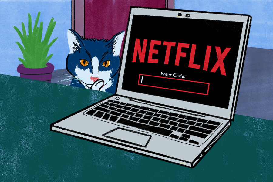 Discover secret hidden Netflix categories with these free plugins