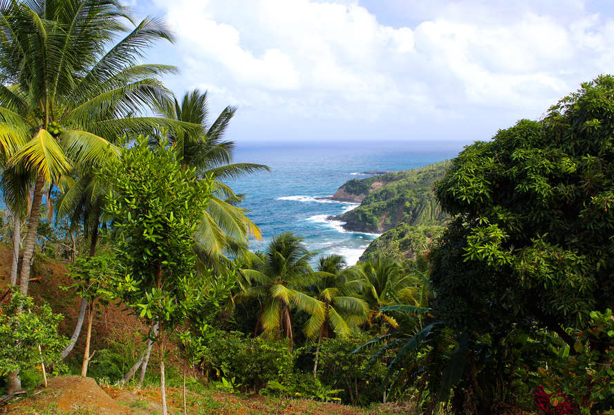 Why Dominica Island Is the Perfect, Cheap Caribbean ...