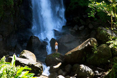 Emerald Pool Dominica