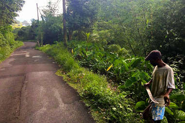 Machete in Dominica