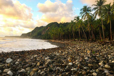 Dominica