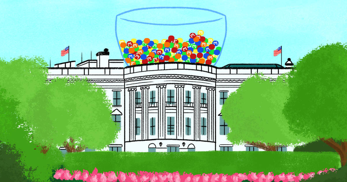 President Donald Trump Peanut M&M White House Chocolate Candy Air Force 1 POTUS 