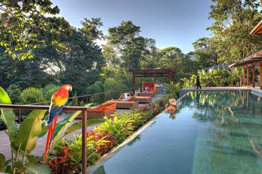 Nayara Springs
