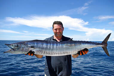 Wahoo Fishing: species guide, charters and destinations - Tom's Catch