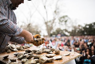Everything You Should (and Shouldn't) Do at a Charleston Oyster Roast