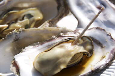 oysters