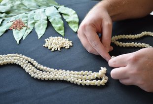 Local Oahu Businesses to Support in 2017