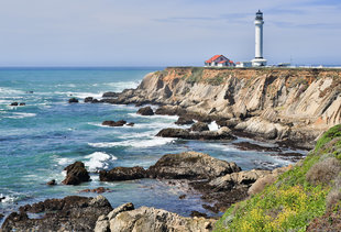 Why Off-the-Grid, Offbeat Mendocino County Is Worth the Road Trip From SF