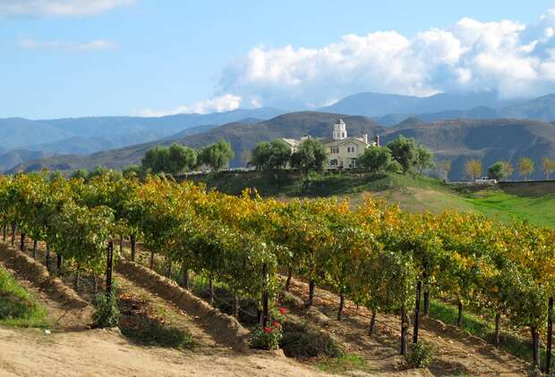 12 Ways to Enjoy San Diego's Perfect Weather (That Aren't a Beach)