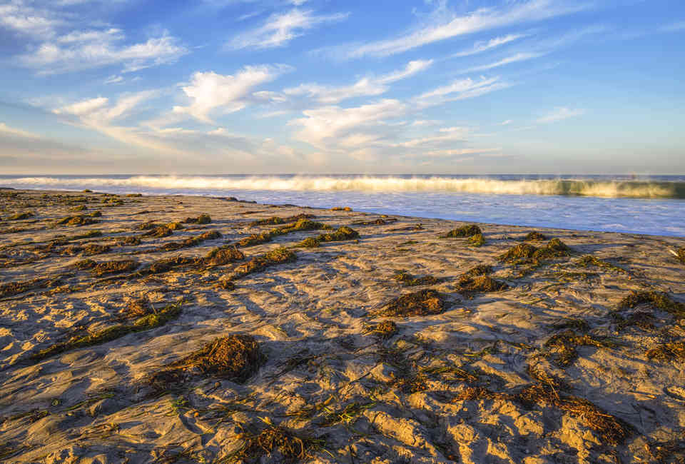 Best San Diego Beaches Most Beautiful Beaches And Top Surf Spots