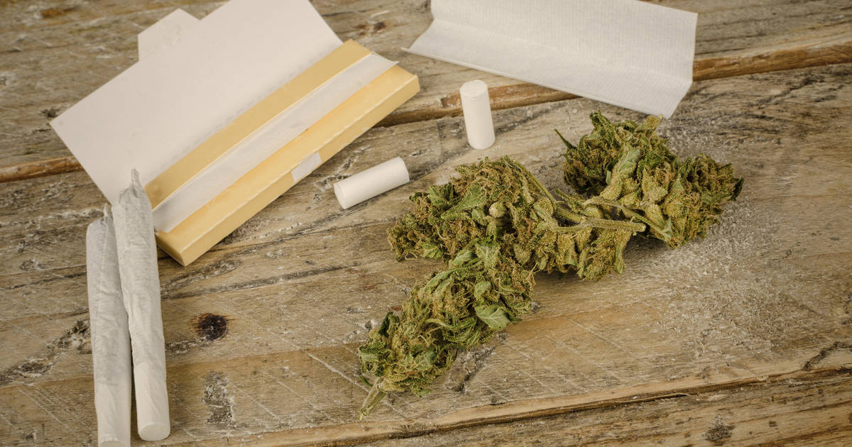 Best Rolling Papers for Joints - Thrillist