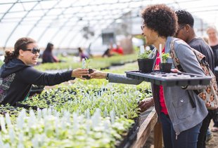 Louisville Local Businesses You Should Support in 2017