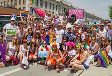 These Chicago Charities and Organizations Need Your Help in 2017