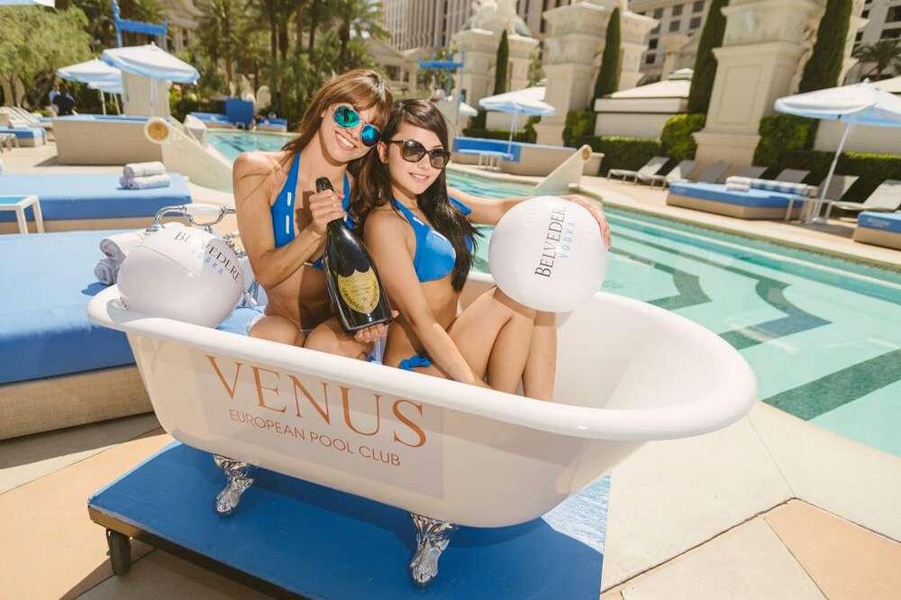 Venus Pool Lounge