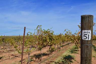 Sonoita AZ Vineyards: What to Know About Southern Arizona Wine Country ...