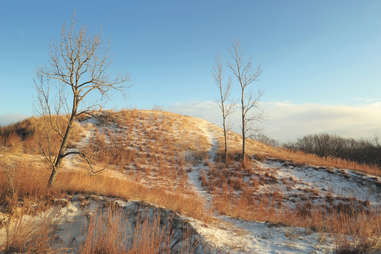 Dunes State park 