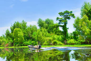 Atchafalaya Swamp