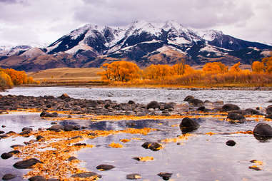 Montana