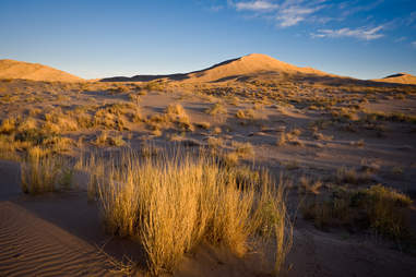 kelso dunes california