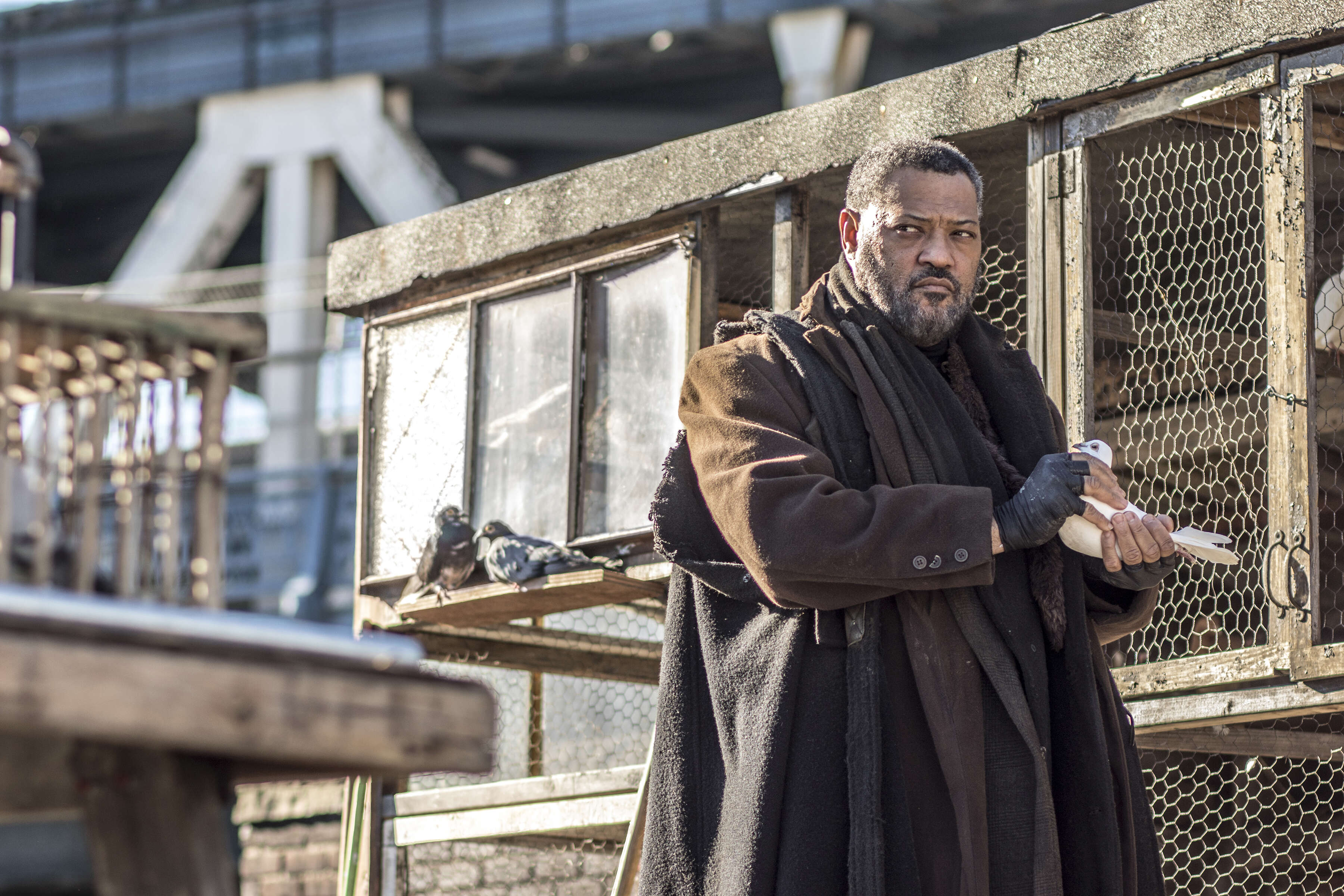 John Wick Chapter Two Laurence Fishburne