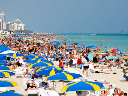 Visit Miami: How to Avoid the Scams & Tourist Mistakes - Thrillist