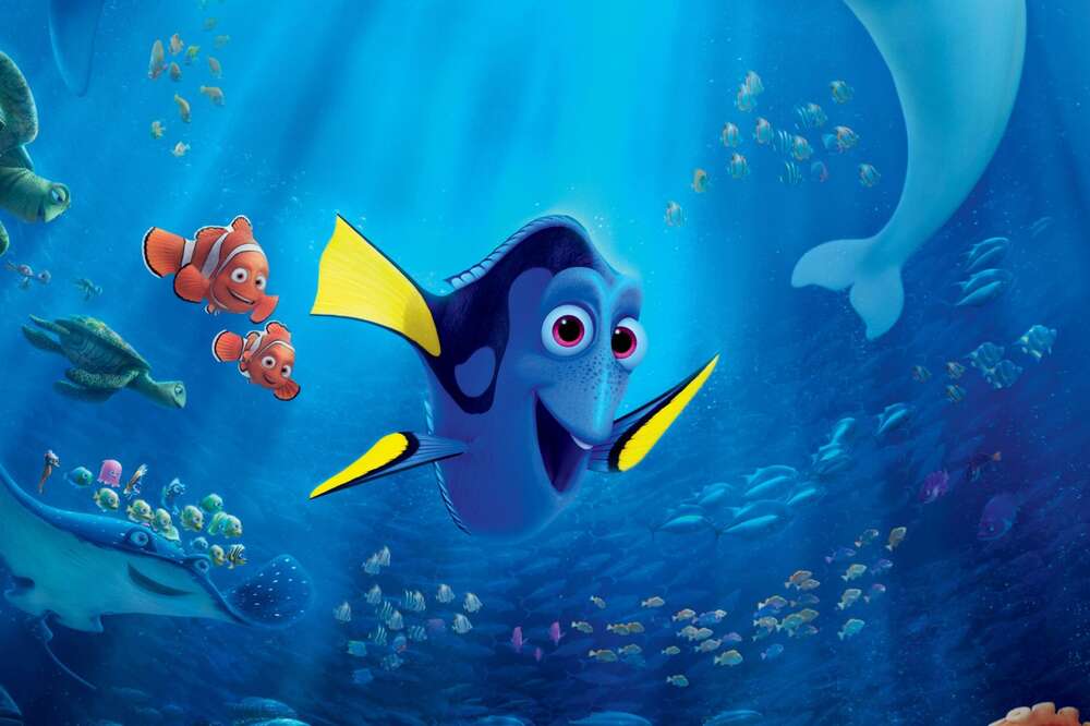 Animation 2016 deals