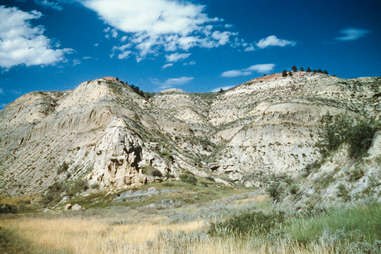 Theodore Roosevelt National Park