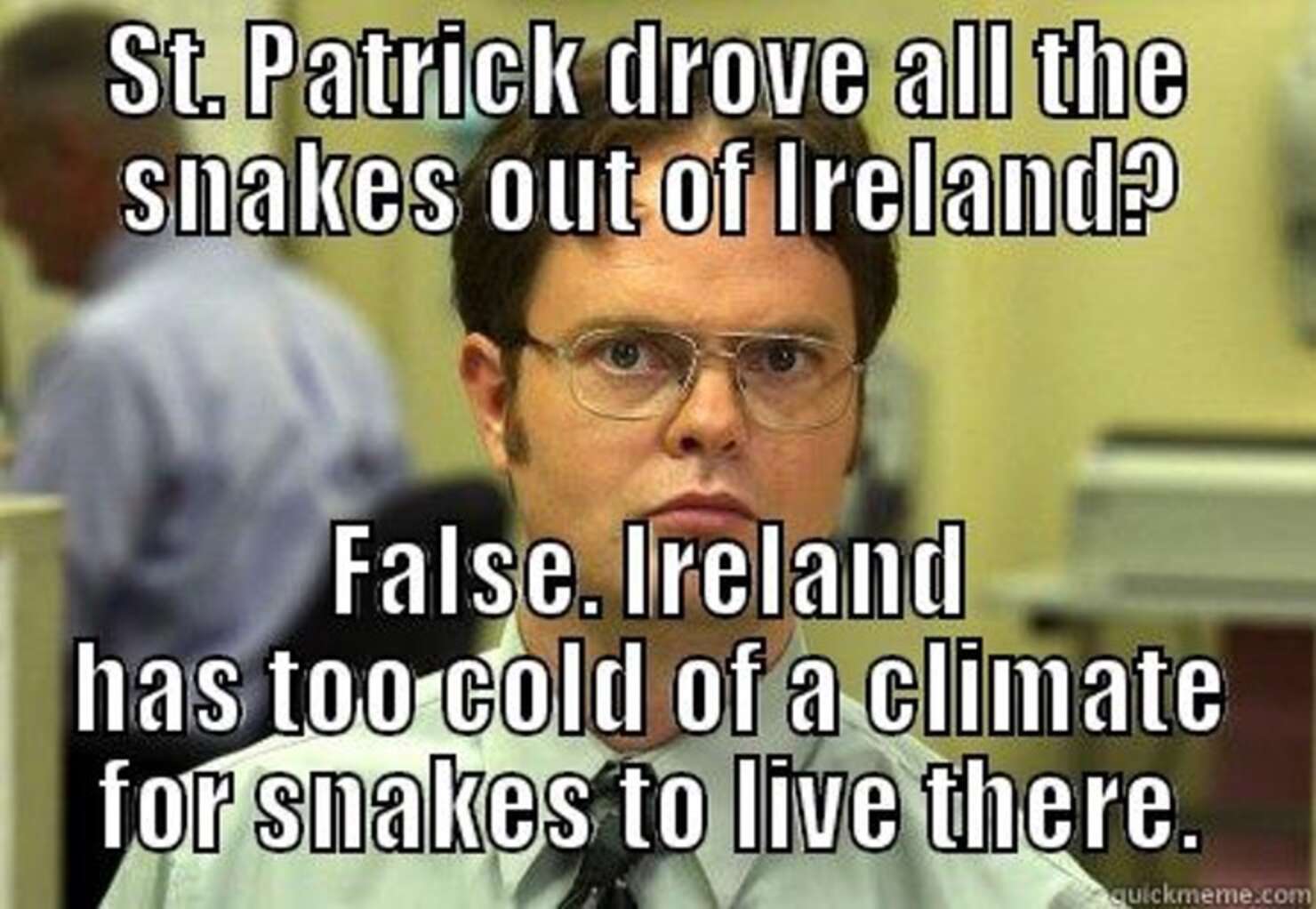 st pattys day friday meme