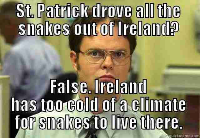 Funniest St Patrick S Day Memes On The Internet Right Now Thrillist