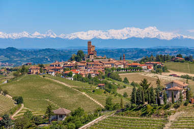 aerial view of piedmont, surrounded by vineyards 