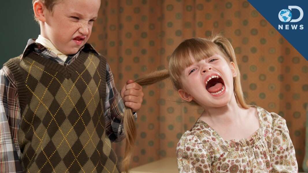 Siblings Are The Worst Bullies Seeker 