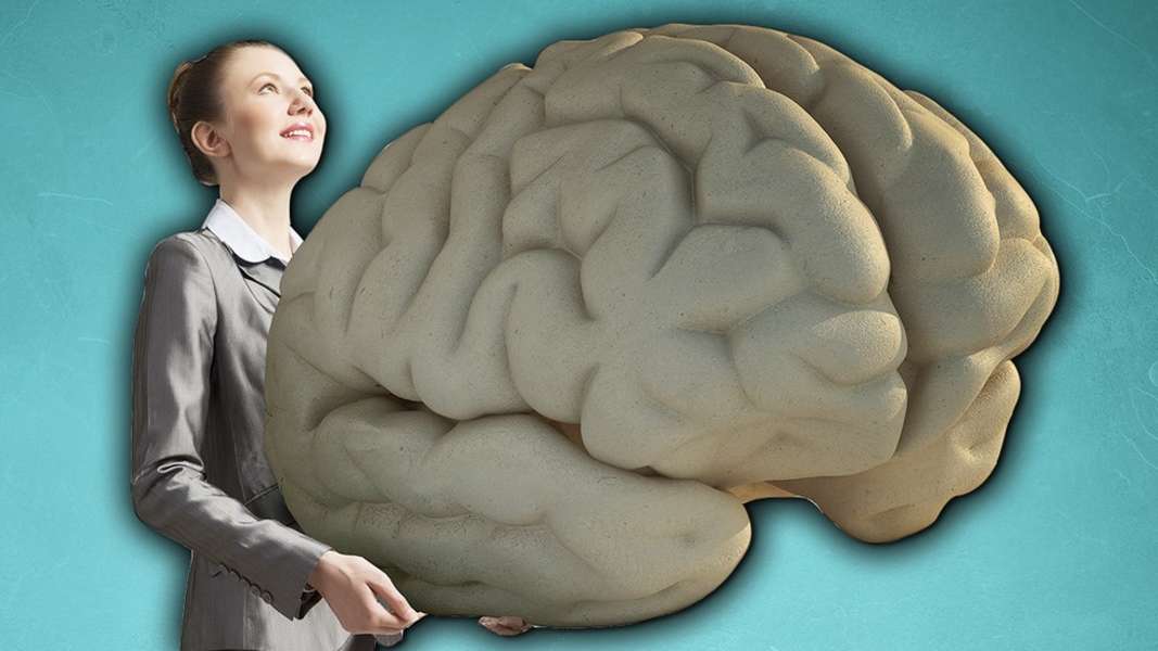 Why Do Humans Have Such Big Brains? 