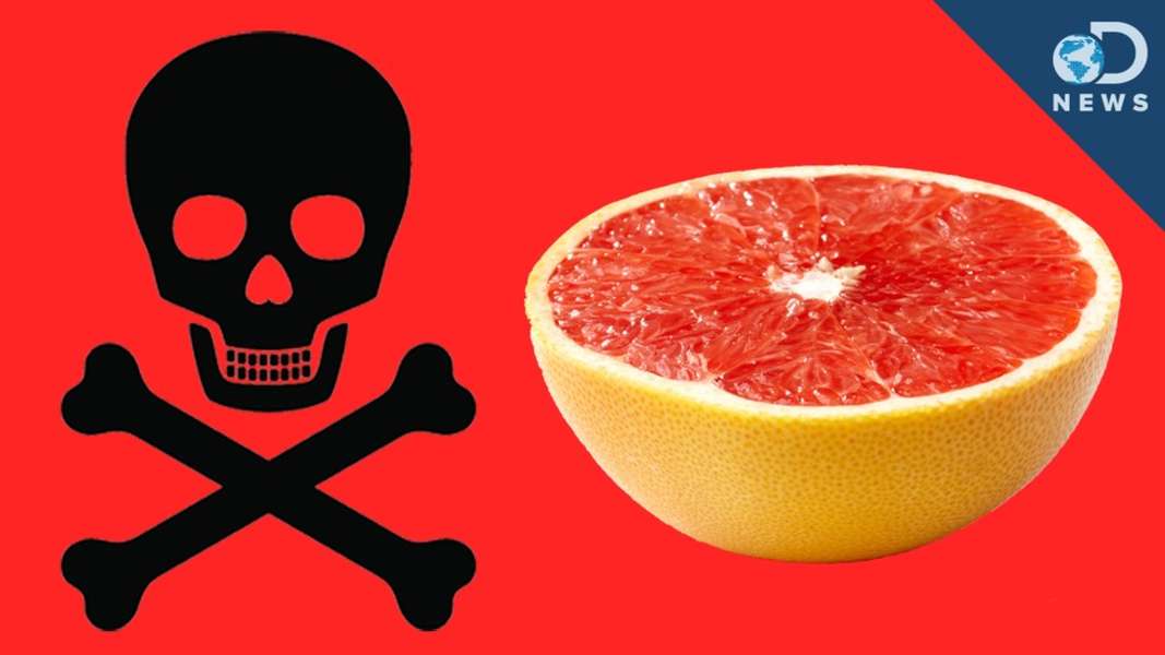 can grapefruit kill dogs