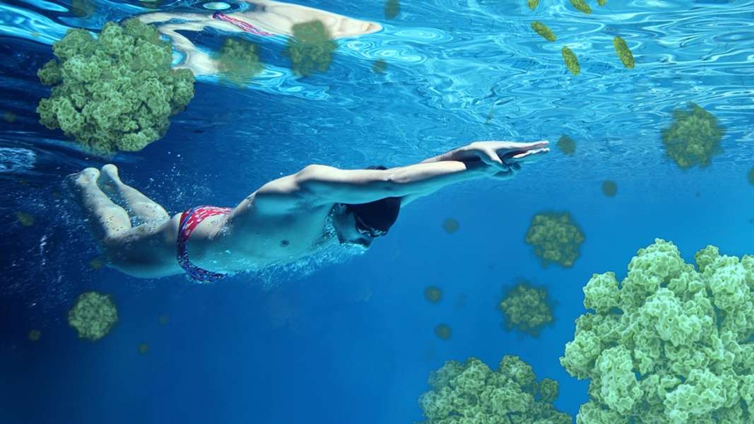 What Diseases Can You Catch While Swimming Seeker