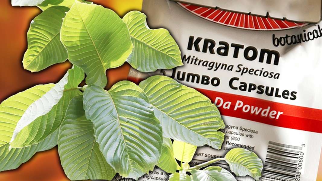 кратом друг