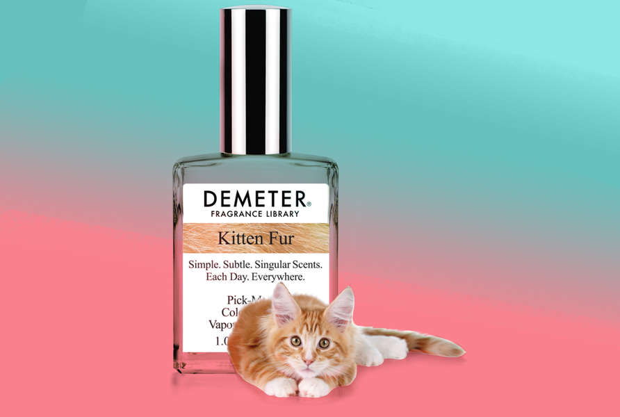 Kitten Fur Fragrance Mimics Scent Of A Cat - Thrillist