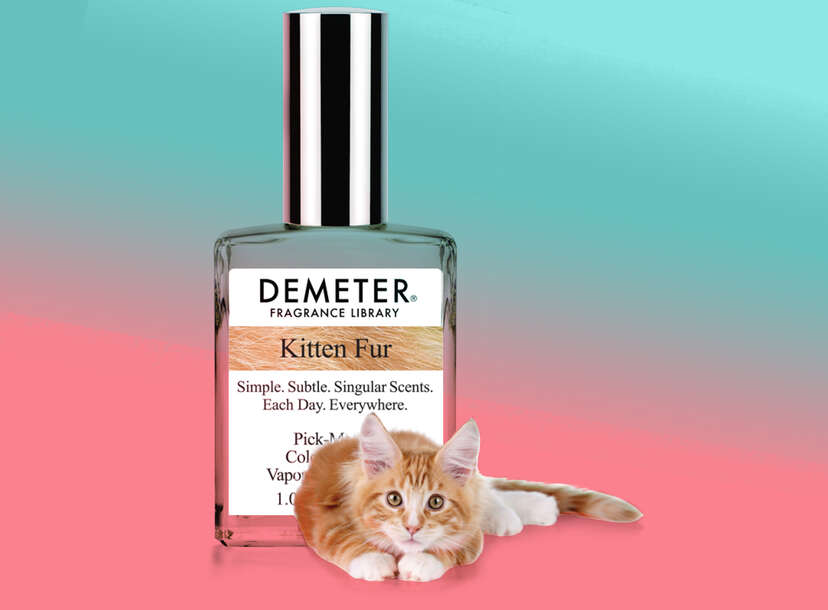 Demeter clearance kitten fur