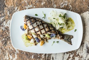 The Best Restaurants in Downtown Houston