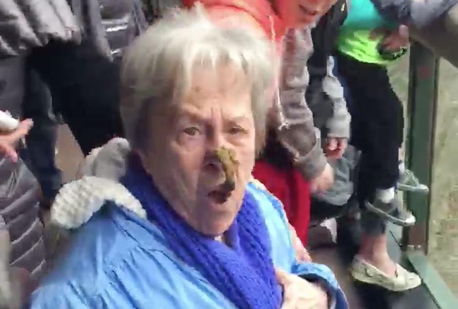 Shit Granny