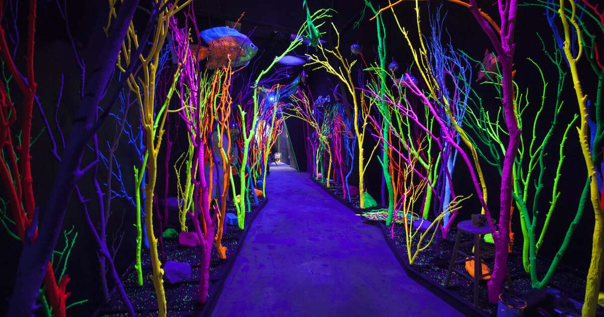 Meow Wolf Sante Fe Get Tickets To This Psychedelic Fun