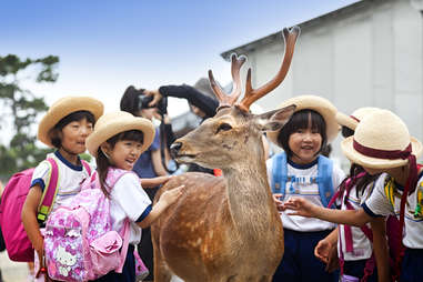 Nara Deer Park