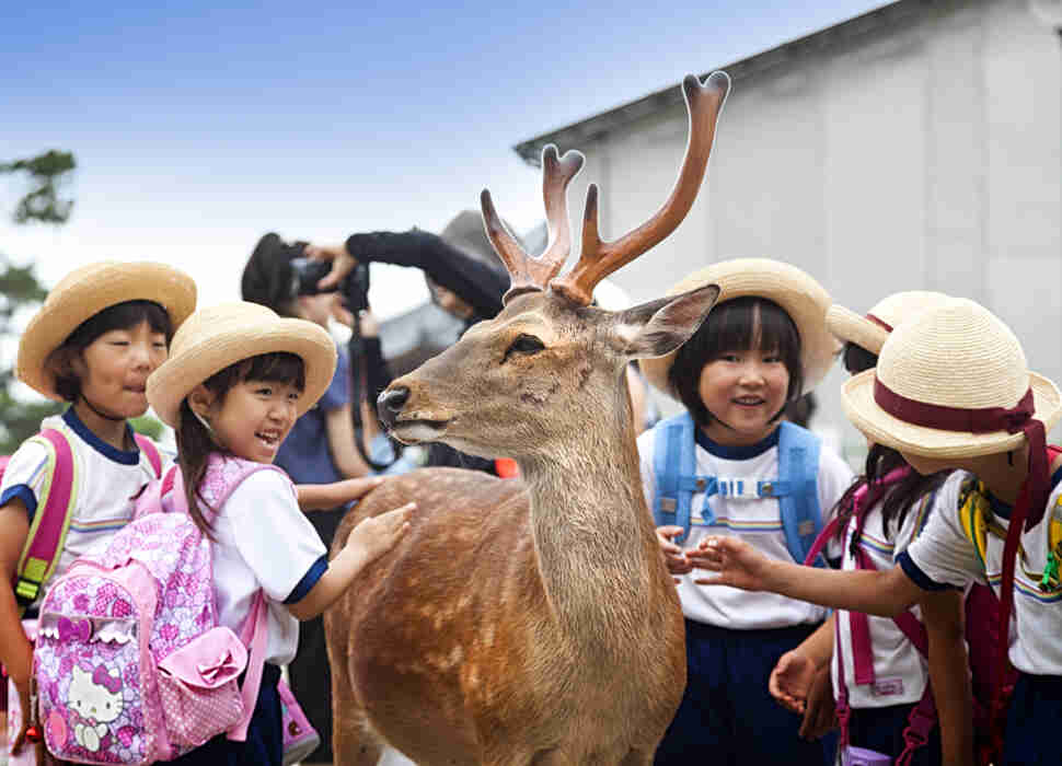 Nara Deer Park