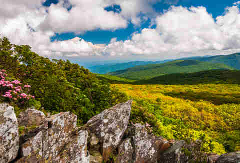 Shenandoah National Park