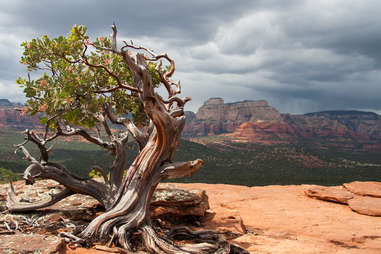beautiful southwest